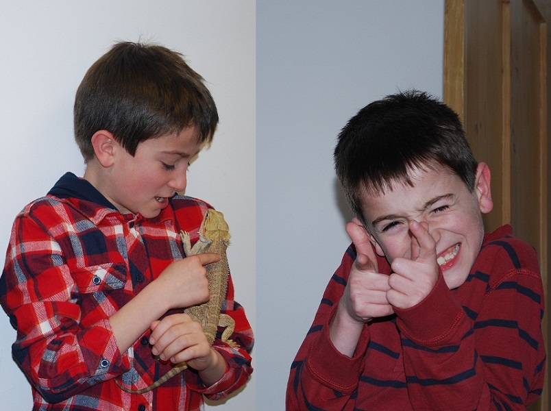 Ander with reptiles, April 2012