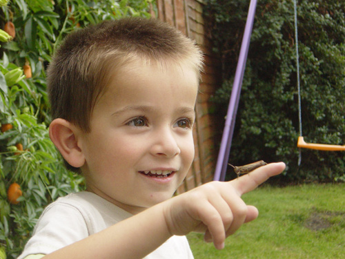 Ander befriends a grasshopper - September 2006