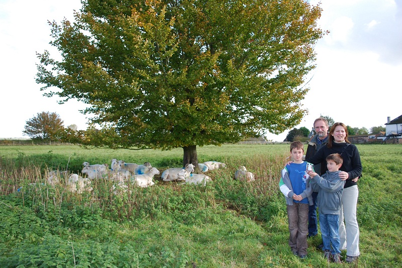 Avebury, October 2010