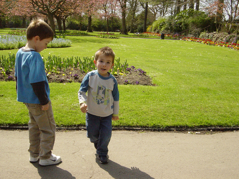 Town Gardens - April 2006