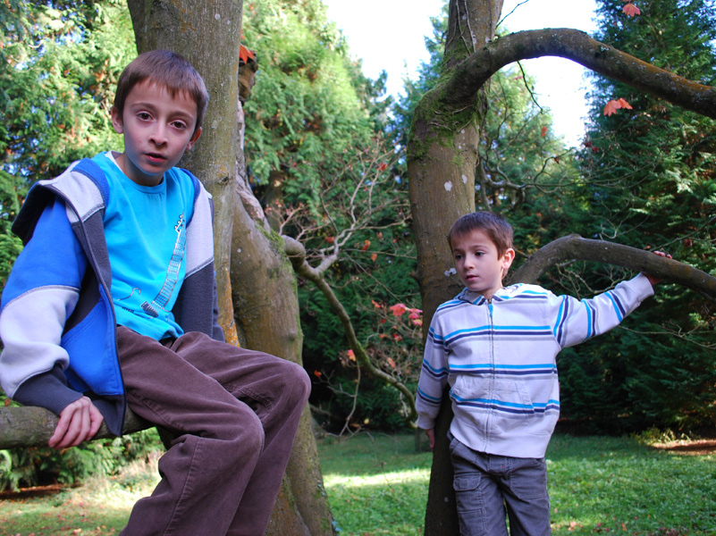 Westonbirt, October 2009